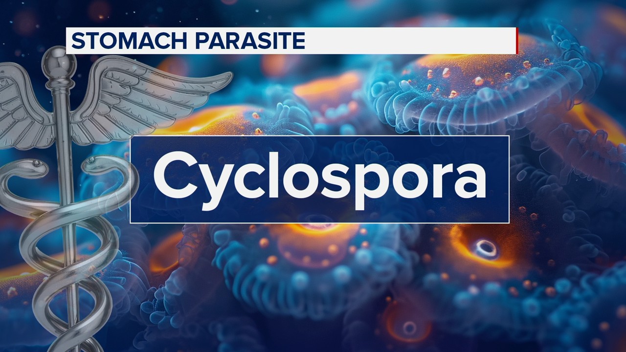 Tips to stay safe amid rising cases of stomach parasite cyclospora