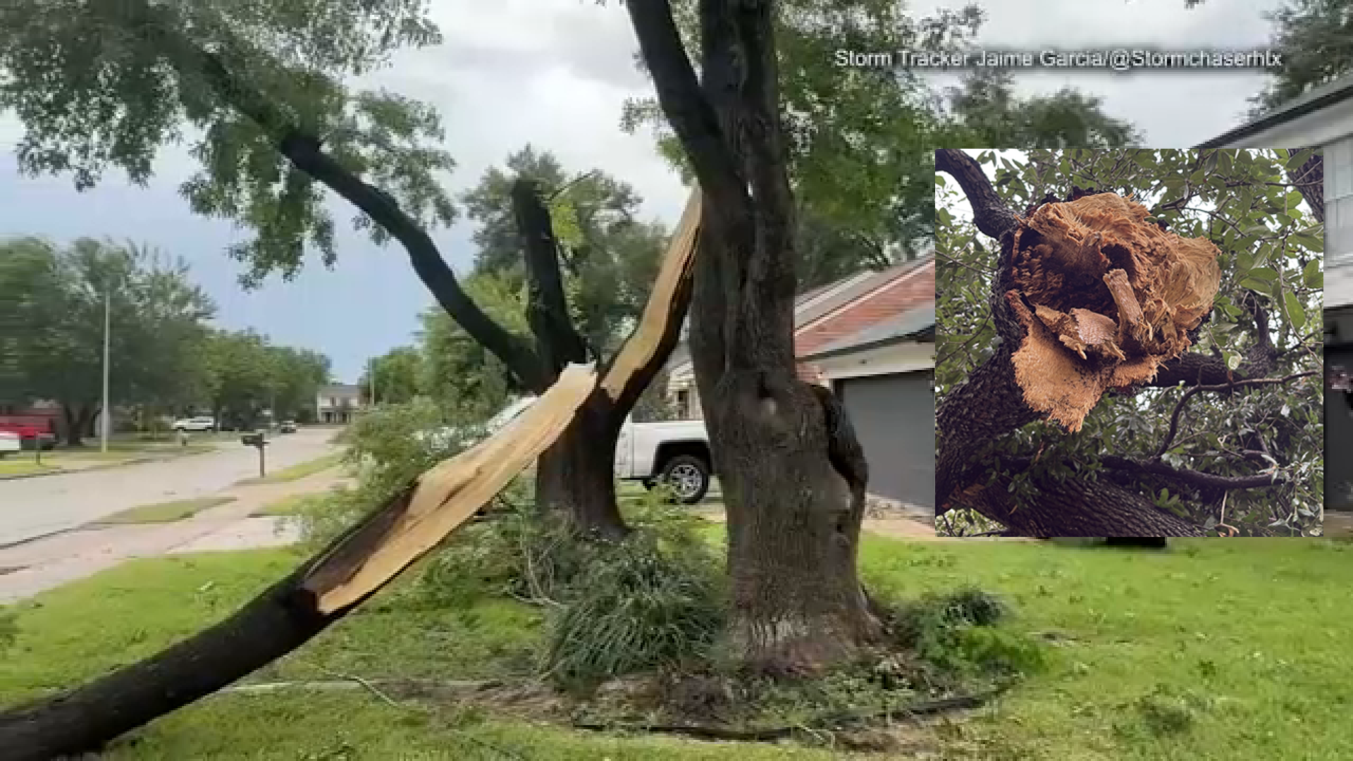 Large branch downed after heavy thunderstorms hit northwest Harris County, video shows